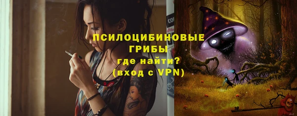 гидропоника Аркадак