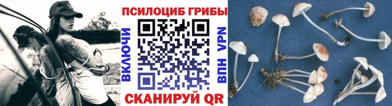 MEGA ONION  где можно купить наркотик  Усть-Лабинск  Псилоцибиновые грибы мицелий 